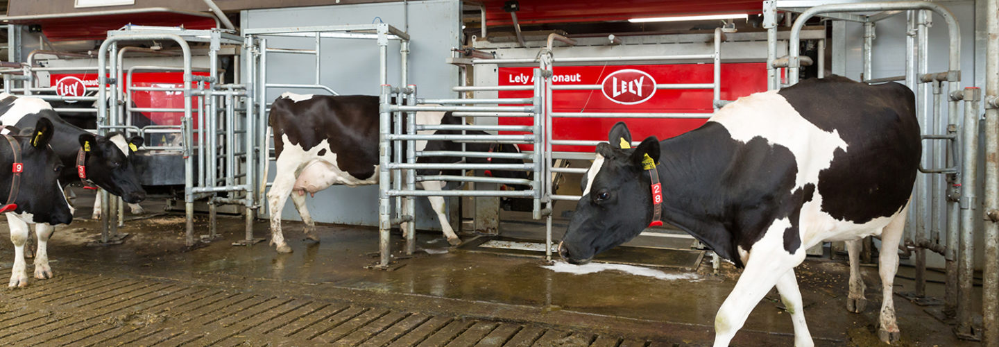 WIN a Lely Cow! - Penner Farm Services